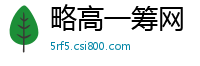 略高一筹网